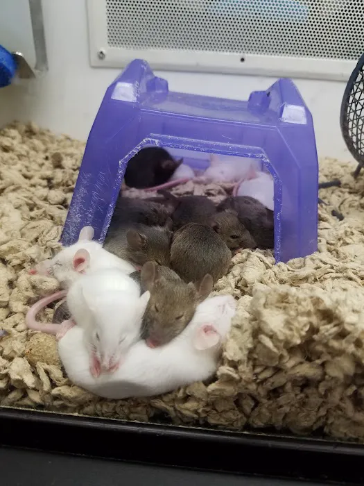 Petco Picture 3