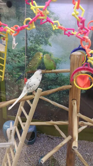 Petco Picture 4