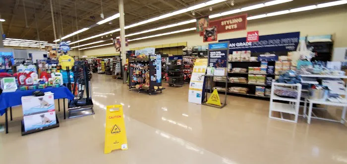 Petco Picture 7