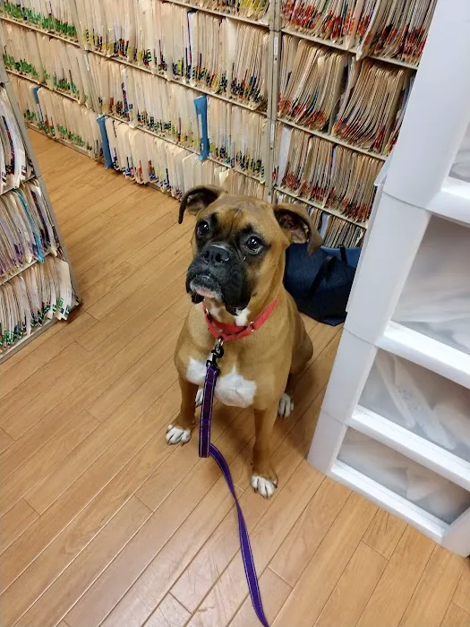 Stanglein Veterinary Clinic Picture 6
