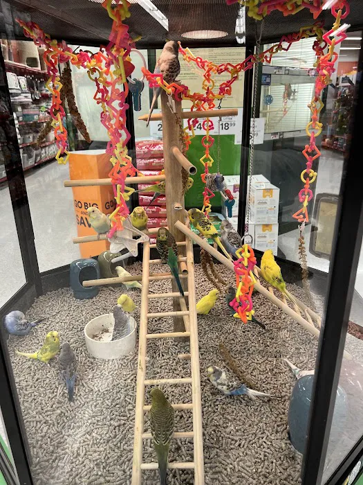 Petco Picture 3