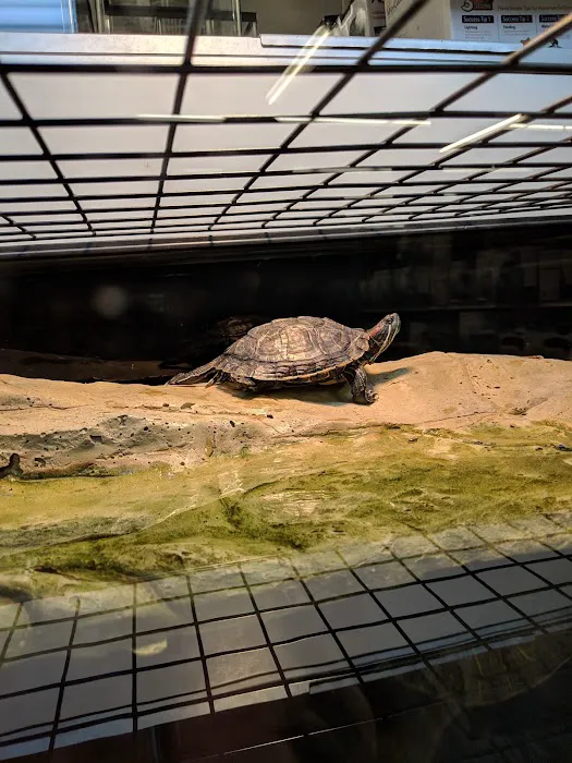 Petco Picture 8