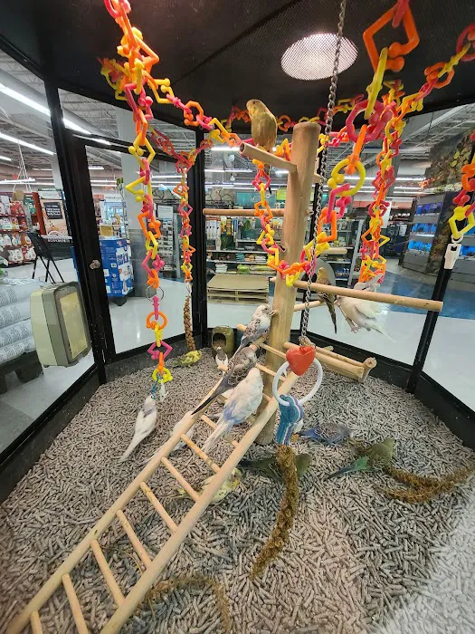 Petco Picture 5