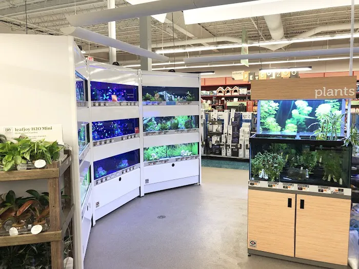 Petco Picture 6