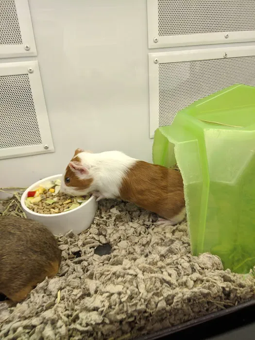 Petco Picture 9
