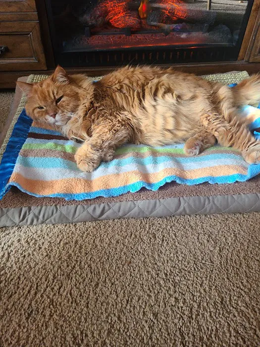 Califon Animal Hospital Picture 4