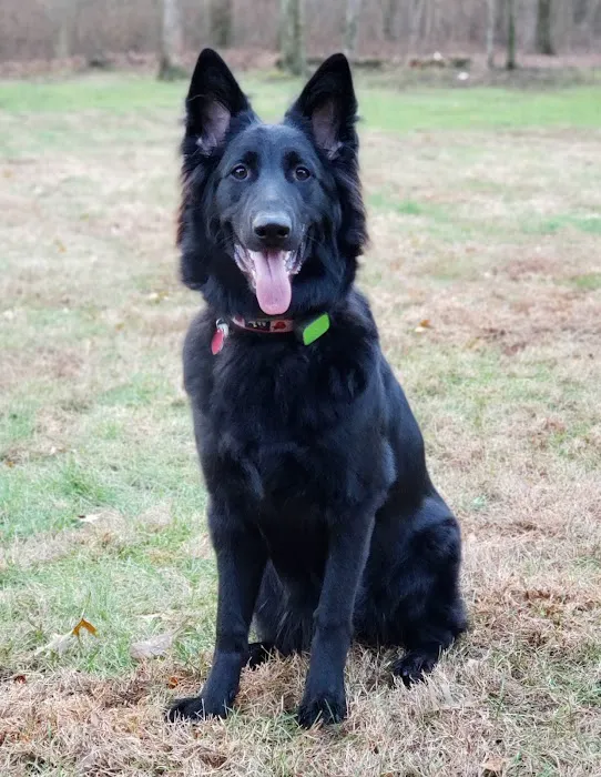 Califon Animal Hospital Picture 8