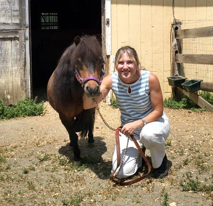 Califon Animal Hospital Picture 6