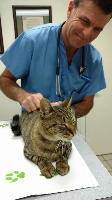 Califon Animal Hospital Picture 9