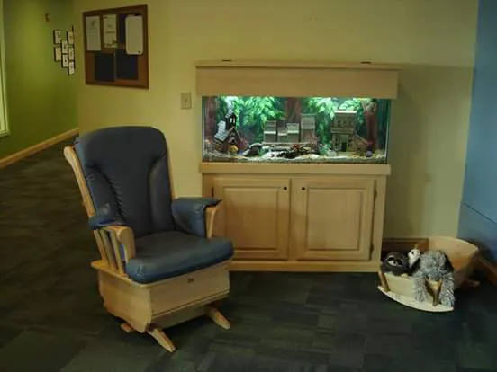 Executive Aquarium Services MD Picture 1
