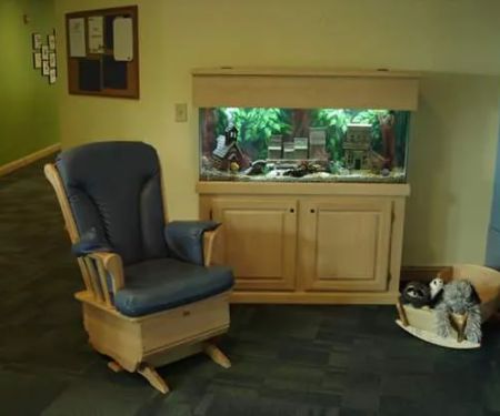 Executive Aquarium Services MD