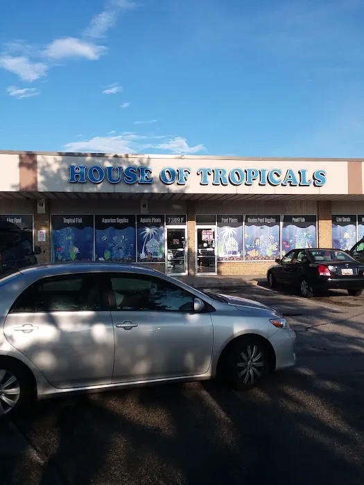 House Of Tropicals Picture 1