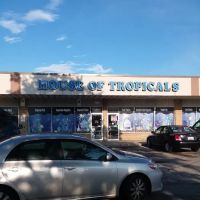 House Of Tropicals ico