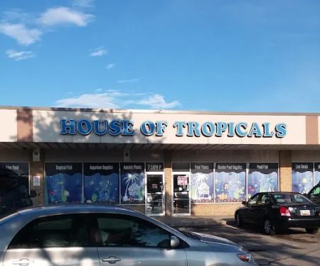 House Of Tropicals