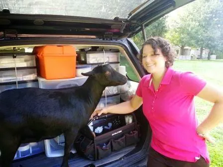 Equiheart Veterinary Services, LLC Picture 8
