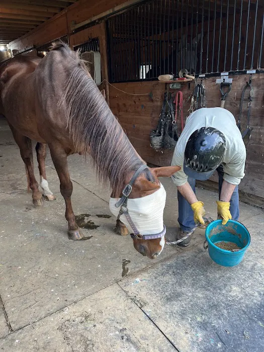 Equiheart Veterinary Services, LLC Picture 7