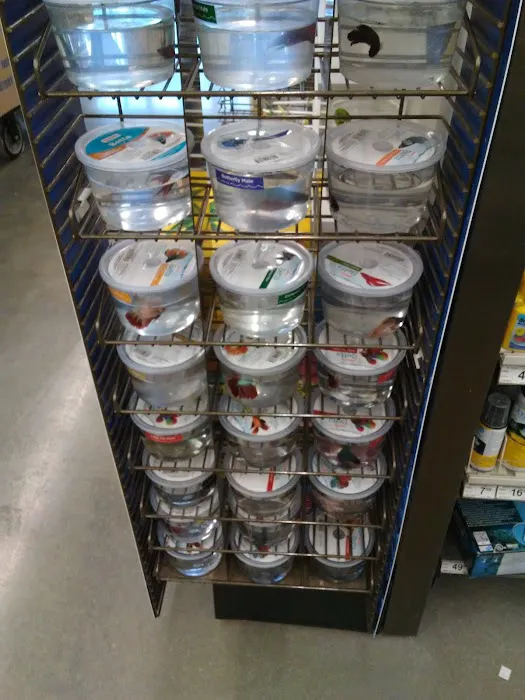 Petco Picture 6