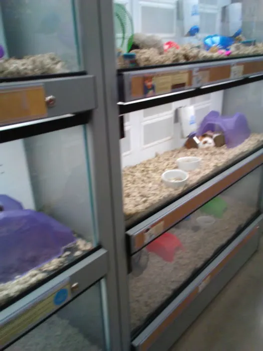 Petco Picture 4