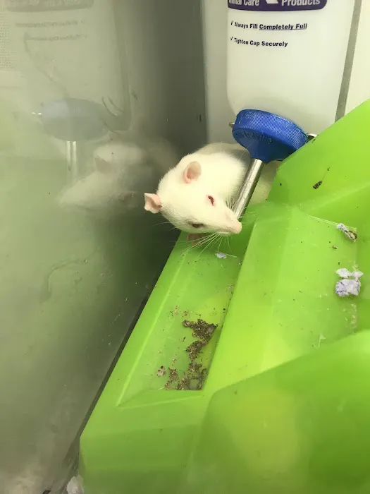 Petco Picture 1