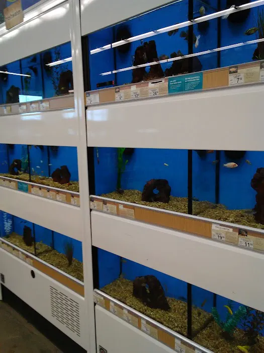 Petco Picture 7