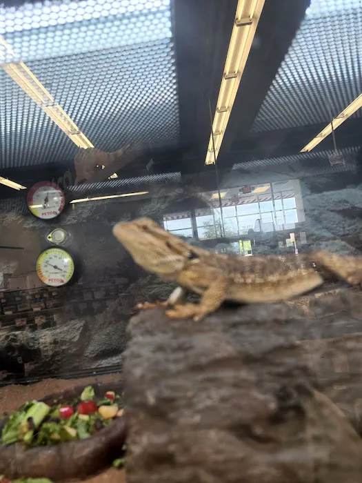 Petco Picture 10