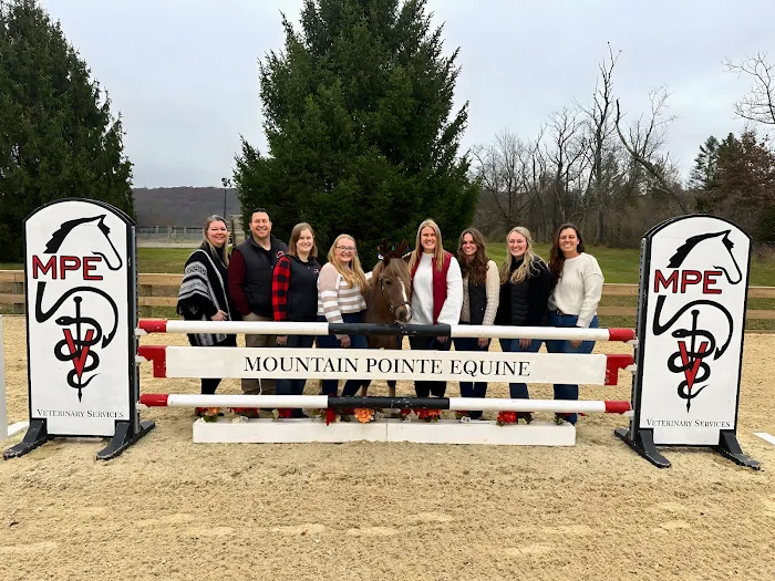 Mountain Pointe Equine Vet Services Picture 3