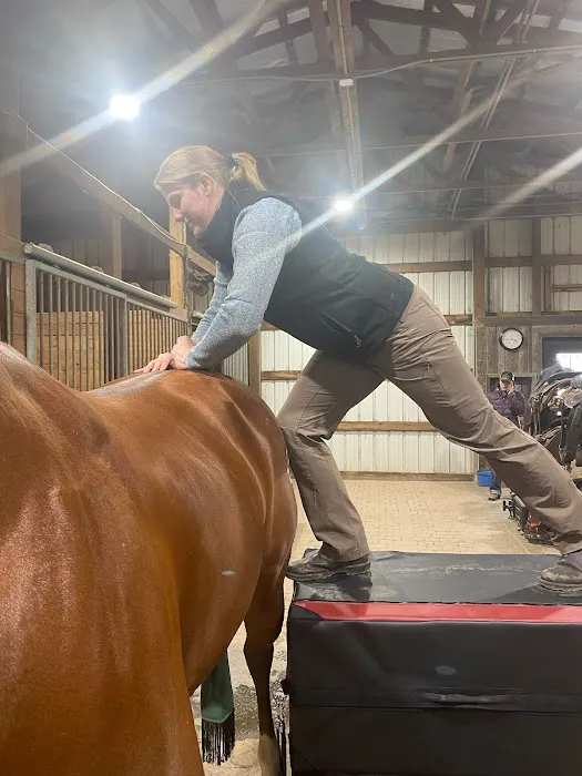 Mountain Pointe Equine Vet Services Picture 2