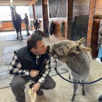 Mountain Pointe Equine Vet Services ico