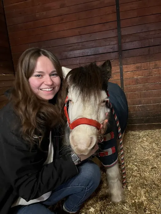 Mountain Pointe Equine Vet Services Picture 5