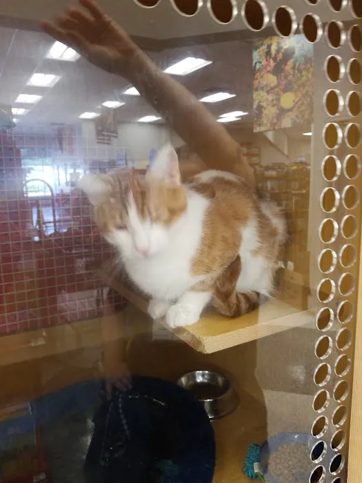 Petco Picture 2