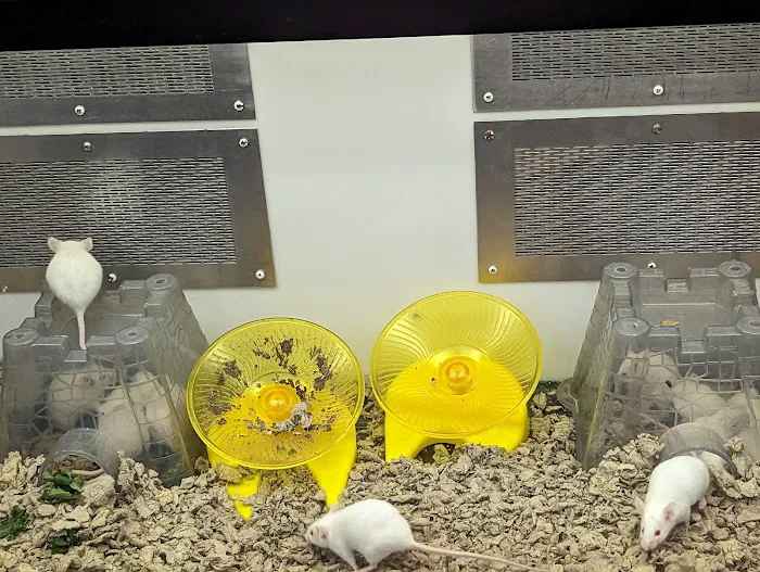 Petco Picture 4
