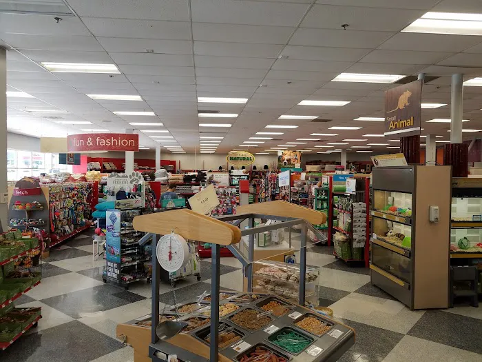 Petco Picture 8