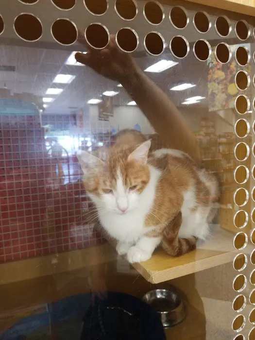 Petco Picture 6