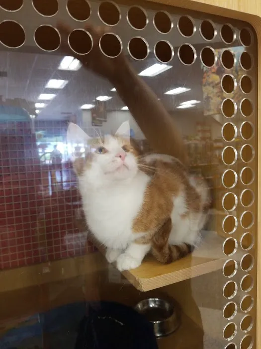 Petco Picture 9