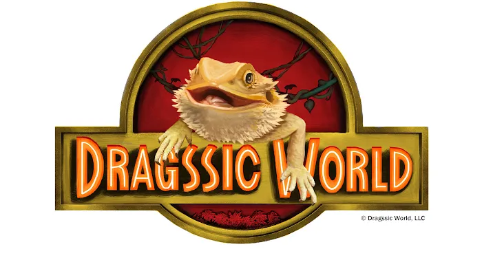 Dragssic World Picture 9