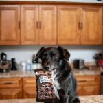 K9 Bites