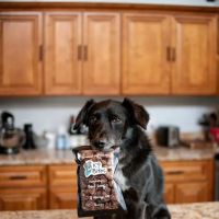 K9 Bites ico