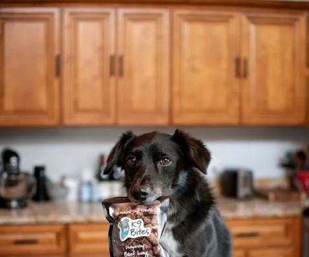K9 Bites