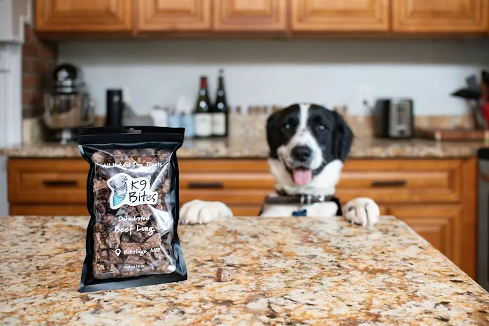 K9 Bites Picture 5