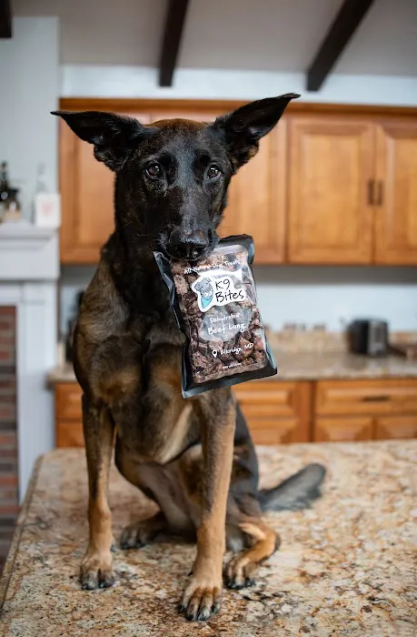 K9 Bites Picture 8
