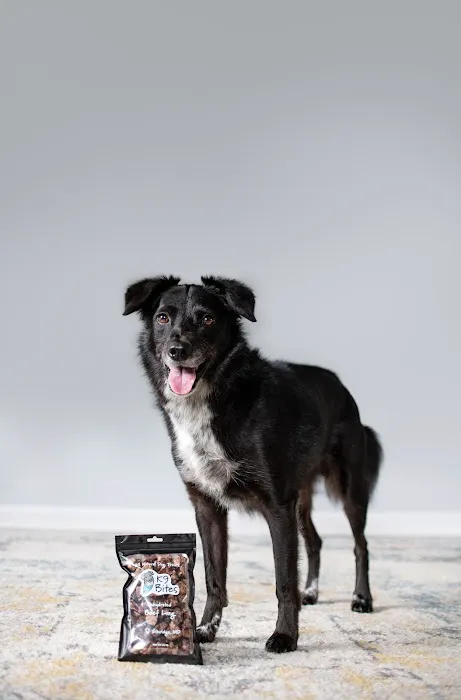 K9 Bites Picture 7