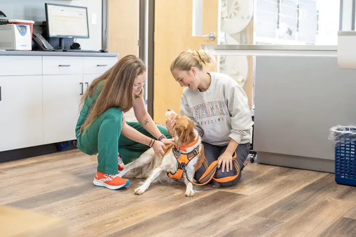 West Lehigh Veterinary Care Picture 3