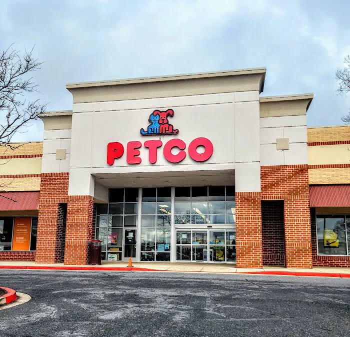 Petco Picture 2