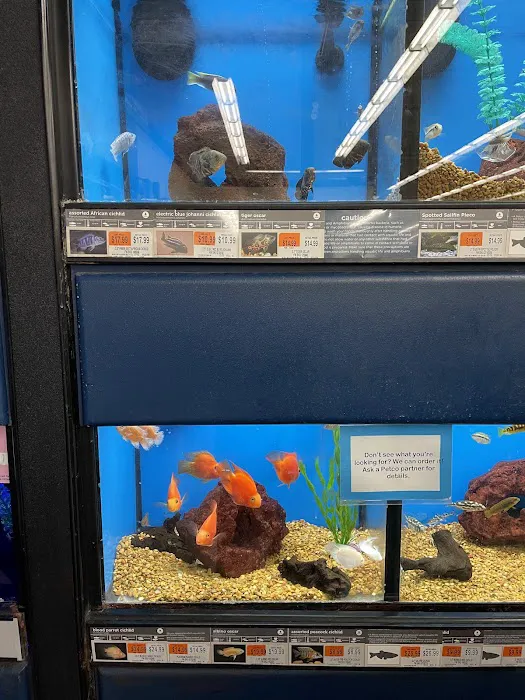 Petco Picture 4