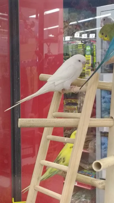 Petco Picture 8