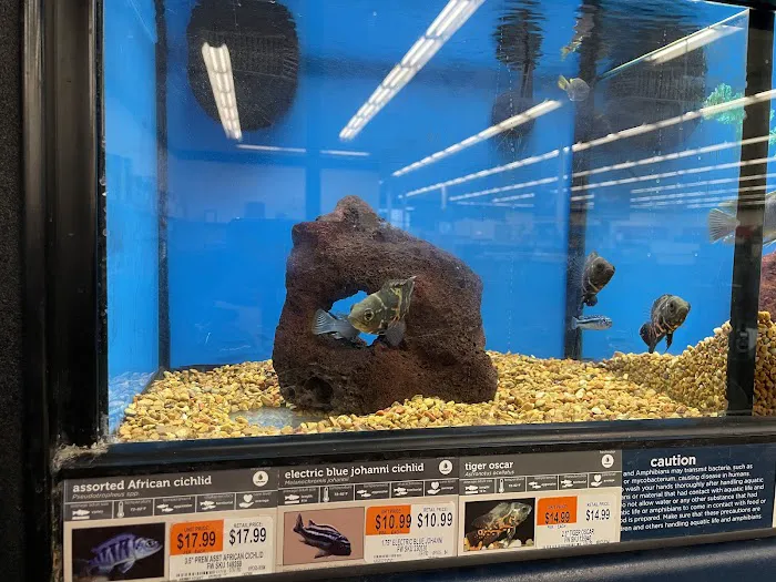 Petco Picture 10
