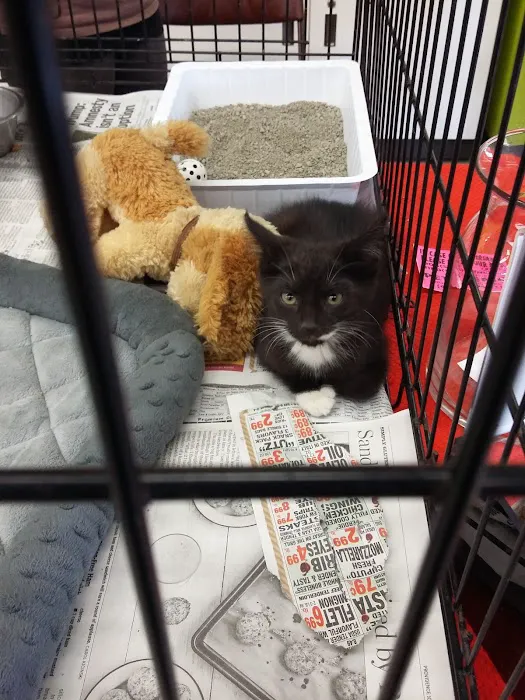 Petco Picture 1