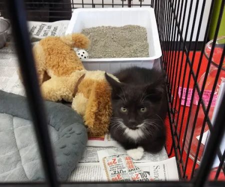 Petco