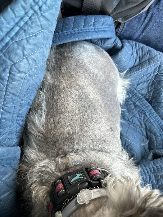 Petco Picture 2