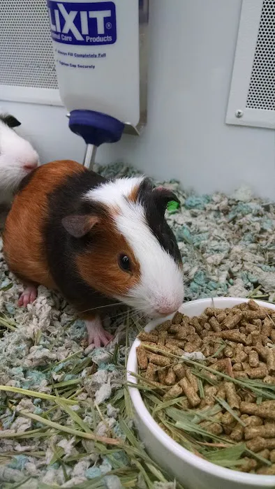 Petco Picture 7